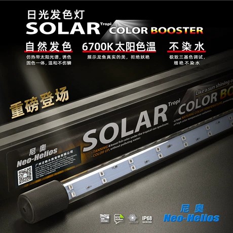 NEO SOLAR Daylight Color Enhancing Lamp for Channa Fish Submersible LED Aquarium Light Goldfish Color Booster (FTL-0064)