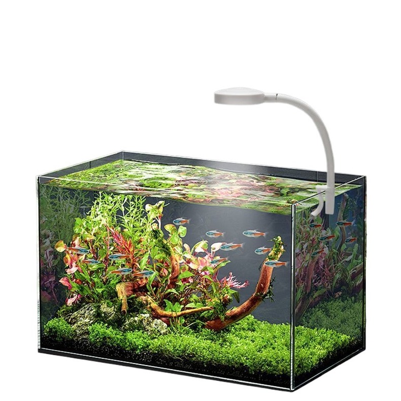 LED Plant Light Full Spectrum Waterproof Algae Bloom Round Aquarium Energy Saving Home Atmosphere Lamp