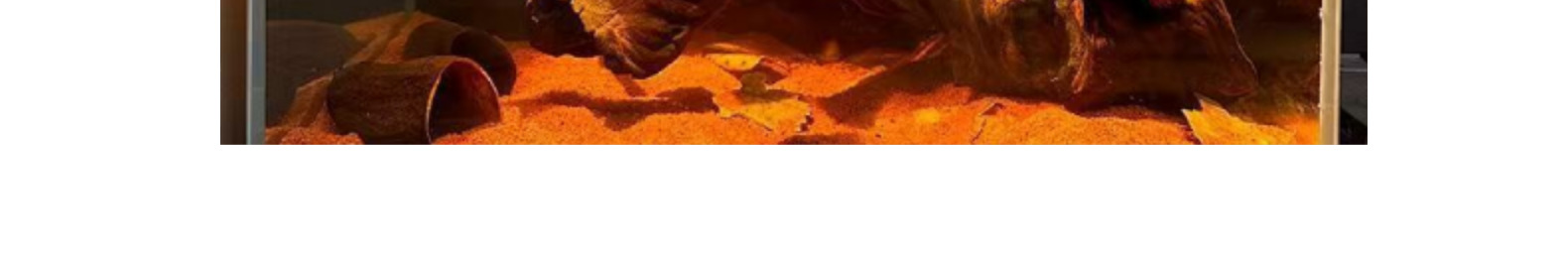 FTL-0024 detail image